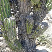 Baja2011 1064 : Baja2011